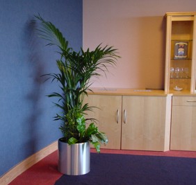 aluminium plant display with kentia palm in Birmingham